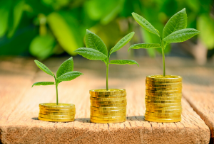 Hedge funds focus on sustainable investment